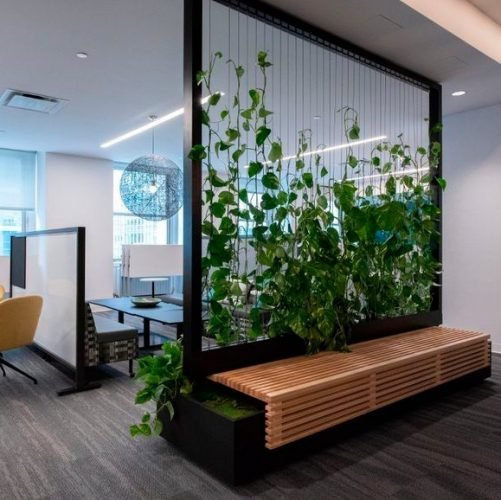 310716c1759e5fb6189f781bafbe99fa